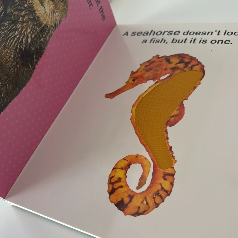Series Books by Vision St. Publishing Adorable Animals  and Sea Animals